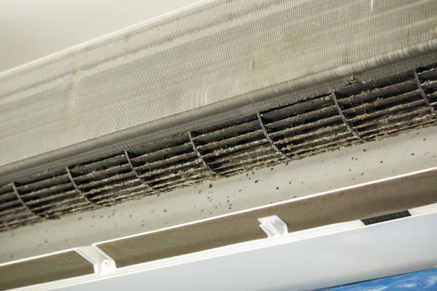 Best Home Air Vent Cleaning  in Monticello, KY